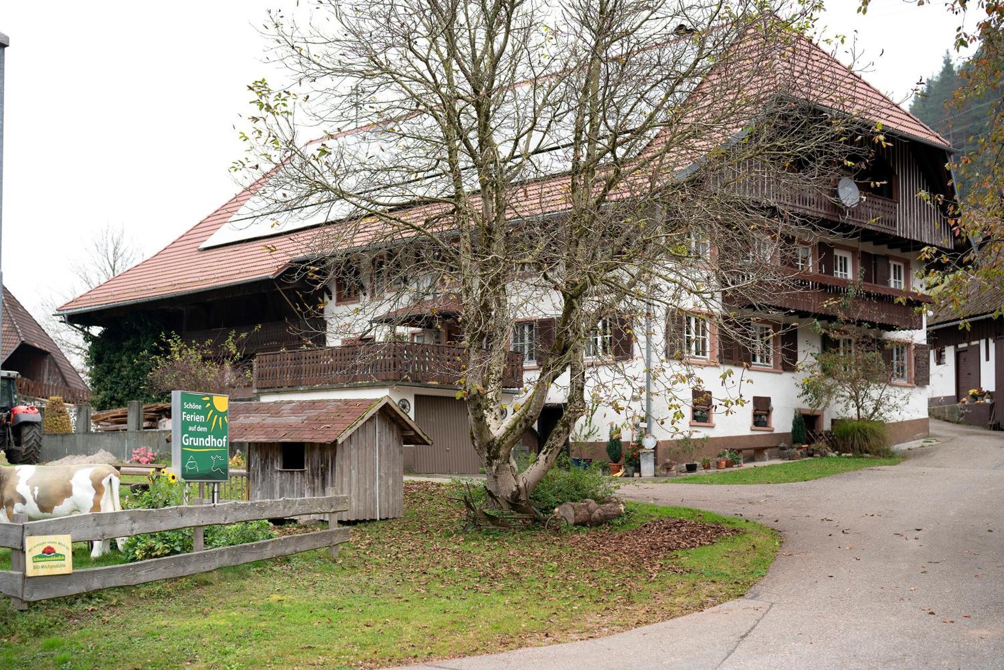 הוילה Oberprechtal Grundhof מראה חיצוני תמונה